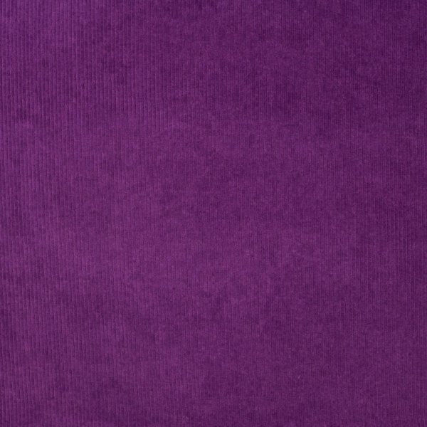 Cord Jersey - Kalifornien - purple