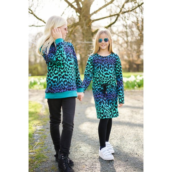 French Terry - Aras - blue/green