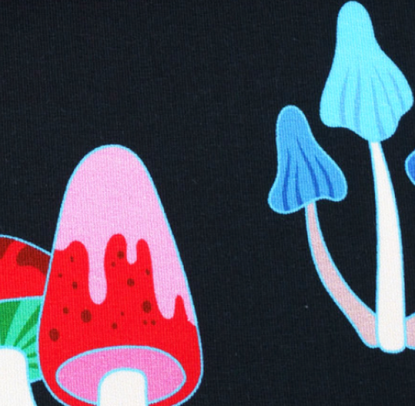 RESTSTÜCK 1,90m !!! - Bio Sweat - Dreams - Col. 03 schwarz - Hand on Hearts - Hamburger Liebe - Albstoffe
