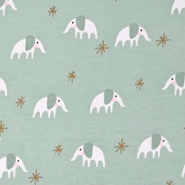 Jersey - Baby - Elefant - mint/gold - Rico Design
