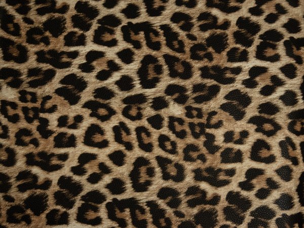 Kunstleder - Leonardo - beige/schwarz - Swafing