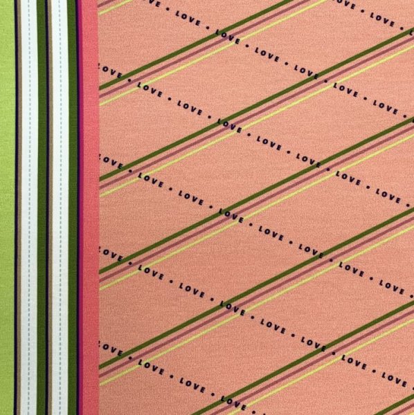 RESTSTÜCK 0,90m !!! - Bio Jersey - Love Always Wins - Col. 03 - Only You - Hamburger Liebe - Albstoffe