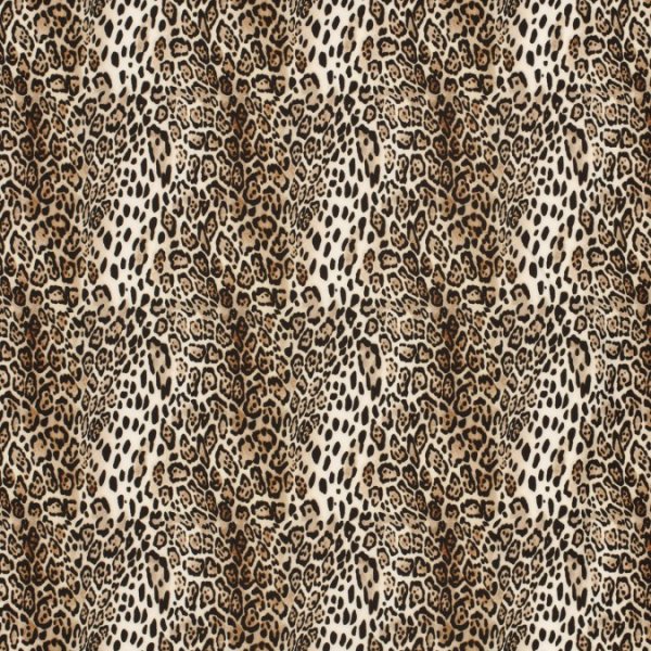 Softshell - Leo Amara - beige