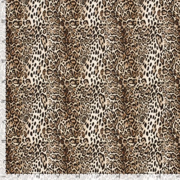Softshell - Leo Amara - beige