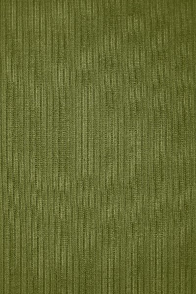 RESTSTÜCK 1,10m !!! - Derby Ribbed Jersey mit TENCEL™ - tea green - MeetMilk