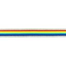 Glam Stripes - unelastisch - 2,5 cm - Regenbogen glitzer