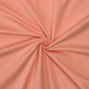 B-WARE !!! - RESTSTÜCK 50cm !!! - Bio Jersey - nude - A81 - Albstoffe