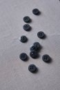 Knopf Corozo - Plain - 11 mm - dusty blue - meetMilk